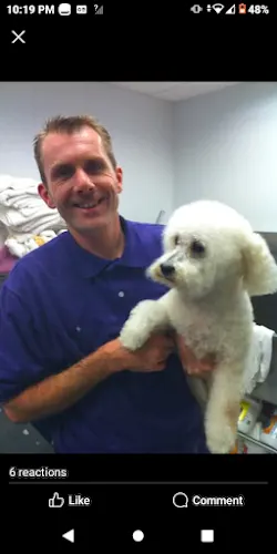 Pet Grooming To You in Brooklyn, NY