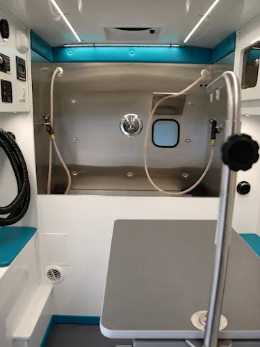 The Polished Canine Mobile Grooming - Image 1