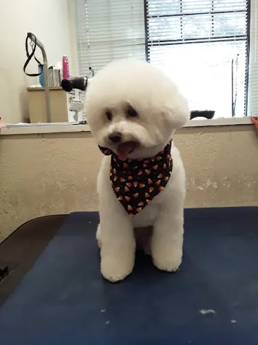 Jami's Groom Room - Image 1