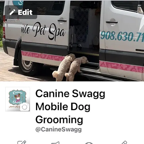 Canine swagg mobile pet spa - Image 1
