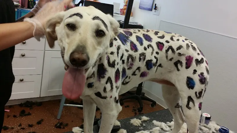 Anne's Doggy Spa LLC. - Image 1