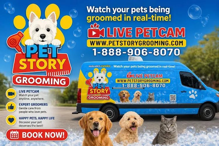 PetStory Grooming - Mobile Pet Dog Grooming - Image 1