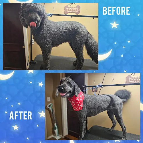 Mag's Wags LLC - Image 1