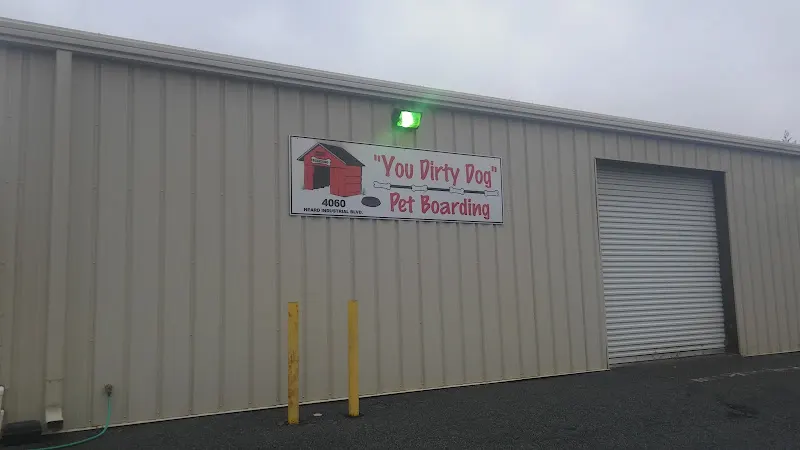 You Dirty Dog Grooming and Boarding - Image 1