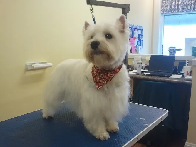 spaw Pet Grooming in Harrison, OH