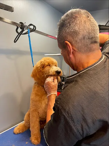 Oscar’s Mobile Pet Grooming, LLC - Image 1