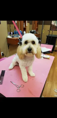 Robertson's Mobile Pet Parlor - Image 1