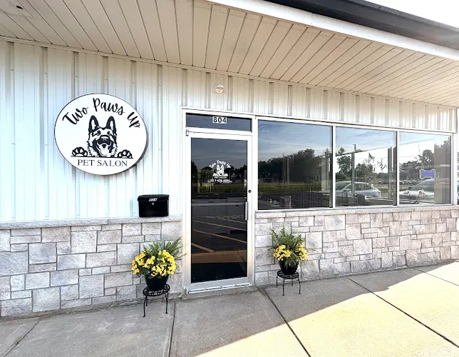 Two Paws Up Pet Salon LLC - Image 1
