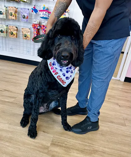 Woof Gang Bakery & Grooming Christenbury - Image 1