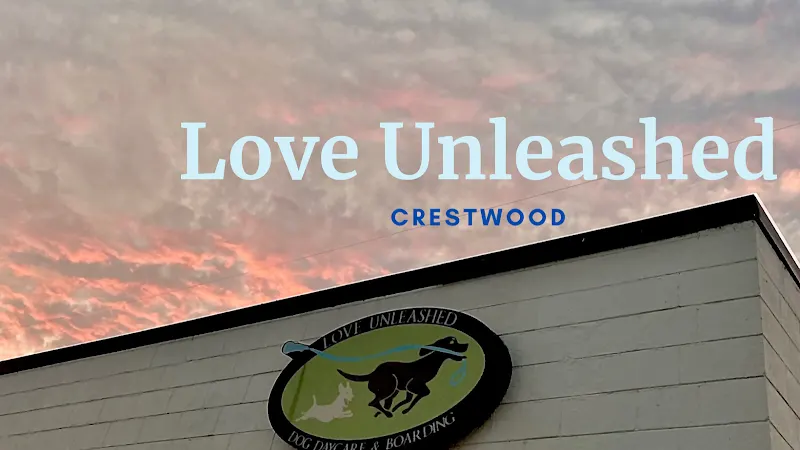 Love Unleashed Daycare and Boarding - Image 1