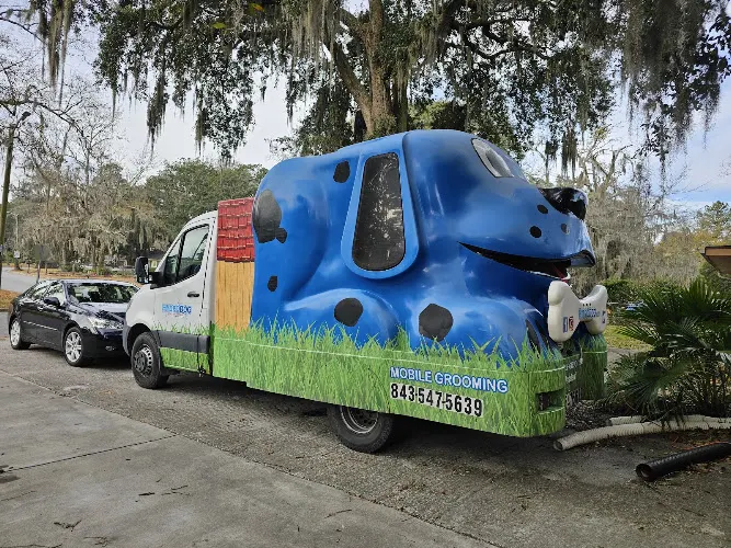 HydroDog - Image 1