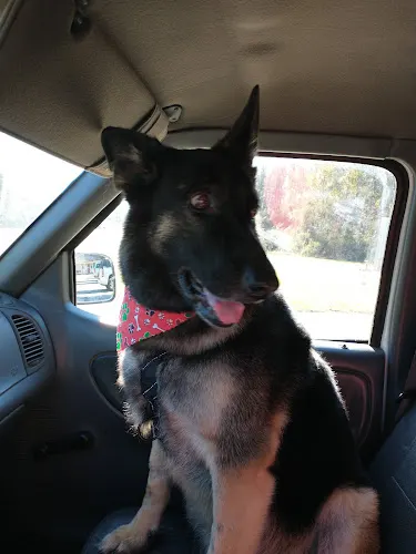 Life is Ruff without a Groomer, Pet Salon - Image 1