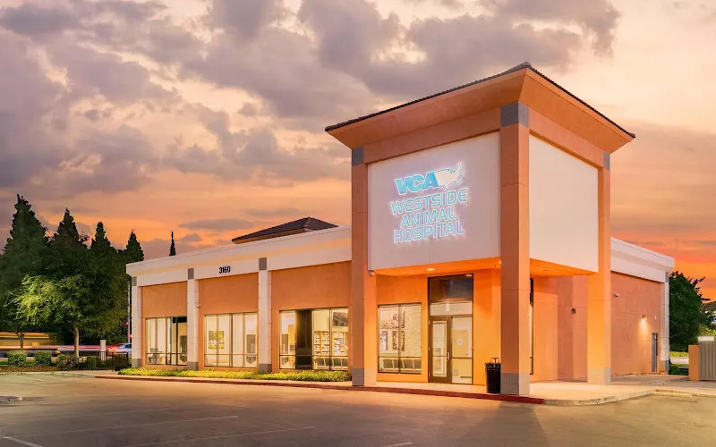 VCA Westside Animal Hospital - Image 1