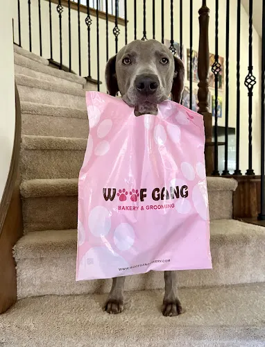 Woof Gang Bakery & Grooming Highland Village - Image 1