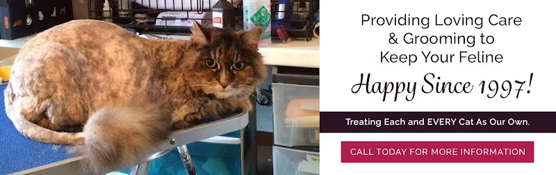 Cats' Inn Grooming & Boarding - Image 1