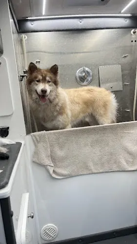Anchors Away Mobile Pet Spa LLC - Image 1