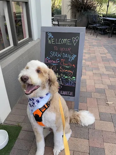 Woof Gang Bakery & Grooming Laguna Niguel - Image 1