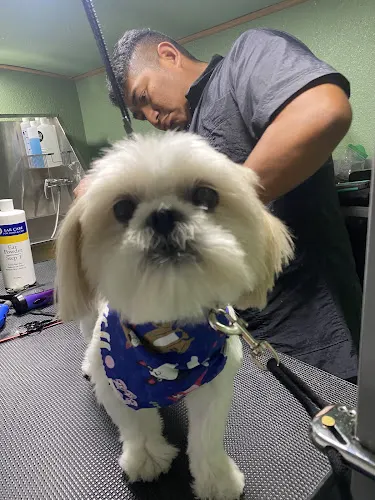Oreo and Friends Mobile Grooming - Image 1