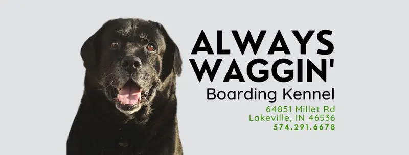 Always Waggin Boarding Kennel - Image 1