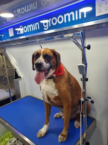 Zoomin Groomin Mobile Pet Spa in North Richland Hills, TX