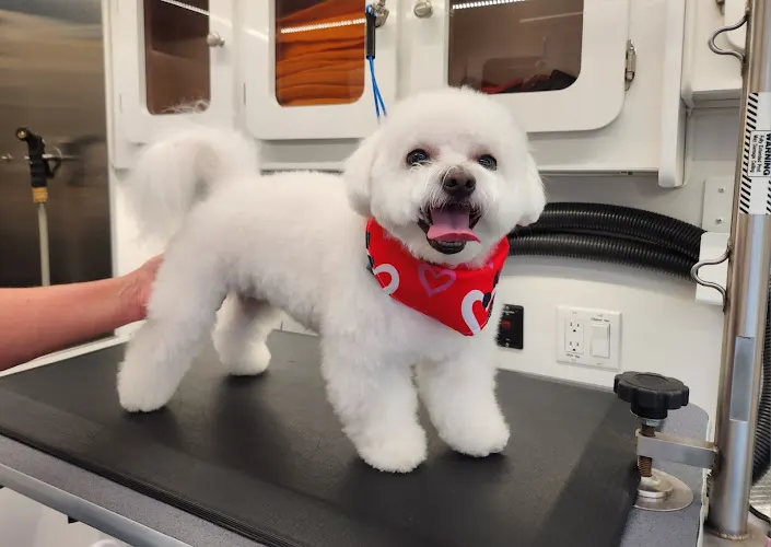 Happy Hounds Mobile Grooming - Image 1