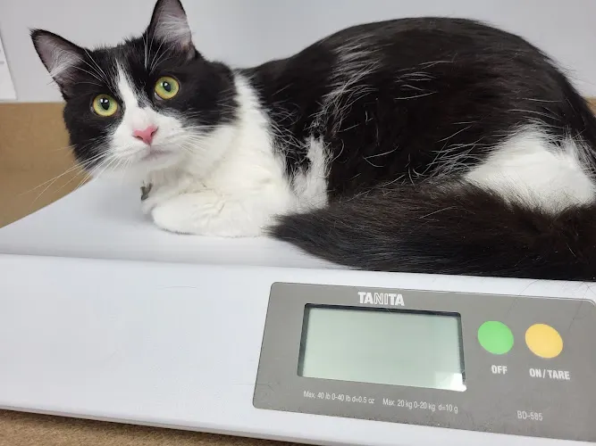 Powder Springs Animal Clinic in Powder Springs, GA