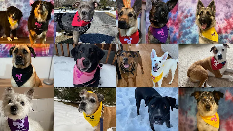 Yappy Vibes in Williamsport, MD