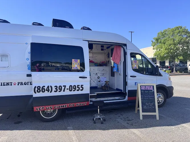 Magic Groom Bus LLC - Image 1