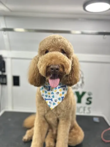 Toby's Pet Services - Image 1