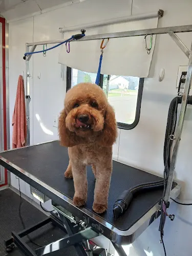 Down River Ranch Mobile Pet Spa - Image 1