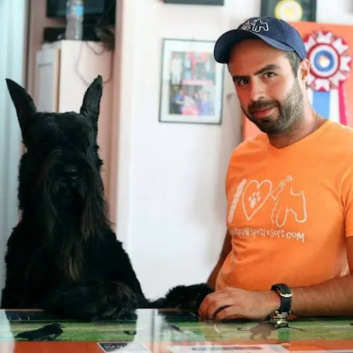 Hot Paws Pet Grooming, Spa & Resort. - Image 1