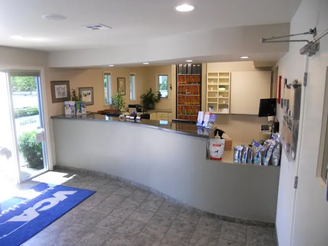 VCA Westside Animal Hospital - Image 1