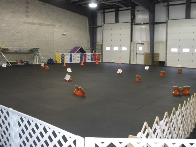 Canine Affair Center - Image 1