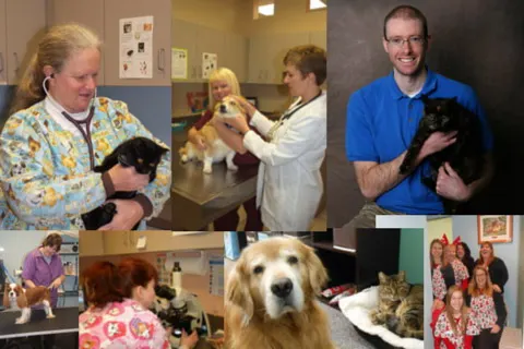 Big Creek Pet Hospital - Image 1