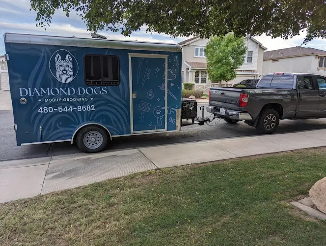 Diamond Dogs Mobile Grooming - Image 1