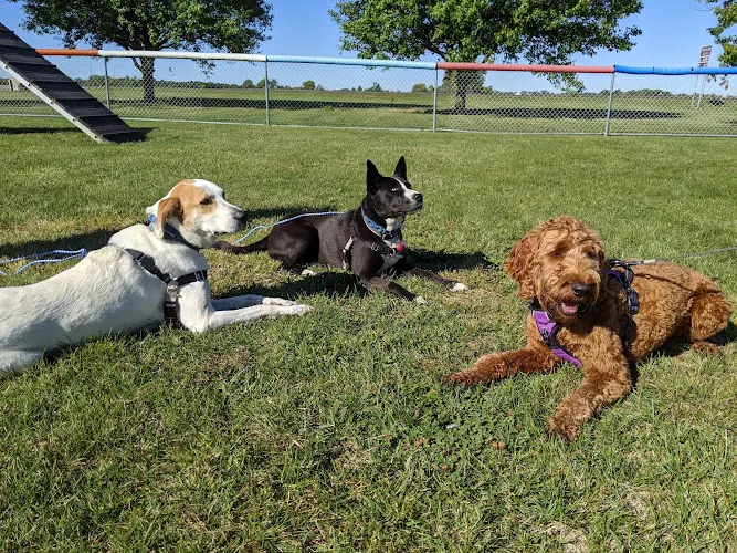 Home Away From Home Family Pet Care - Image 1
