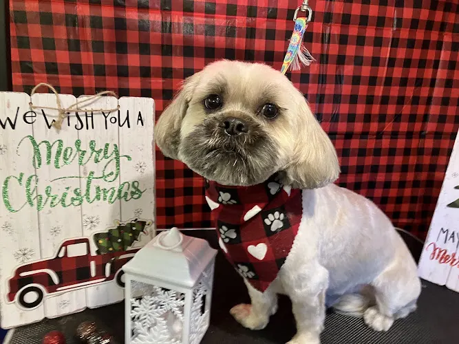 Shannons Place LLC, Mobile Pet Grooming - Image 1