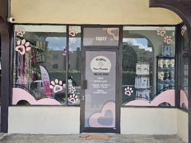 Amore Pet Grooming Kendall - Image 1