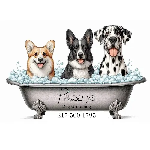 Pawsley’s Dog Grooming - Image 1