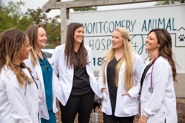 Montgomery Animal Hospital in Pineville, LA