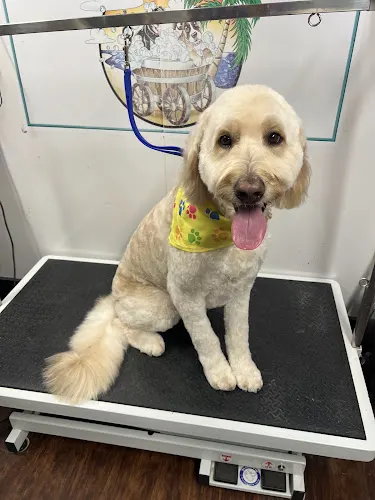 WagnWheelz Mobile Pet Spa - Image 1