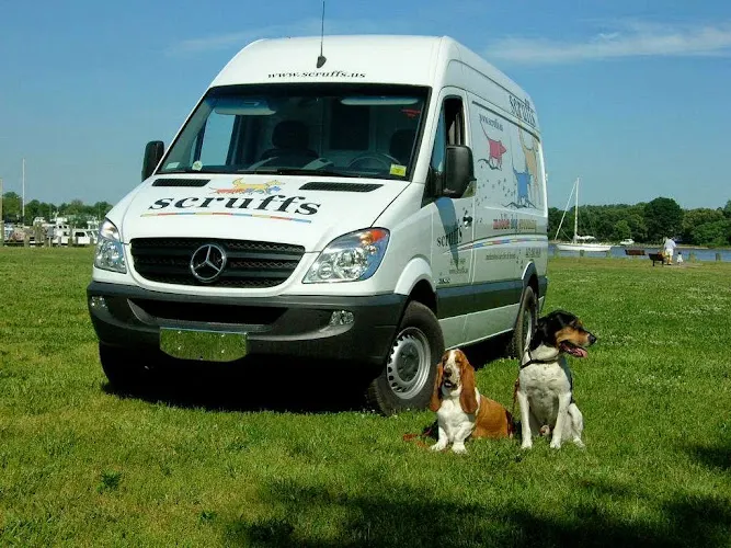 Scruffs Mobile Dog Grooming - Image 1
