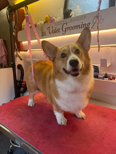 North Shore Mobile Grooming - Image 1