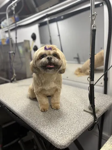 GROOMBAR Luxury Mobile Pet Spa - Image 1