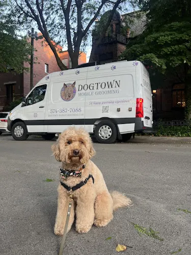 Dogtown Mobile Grooming - Image 1