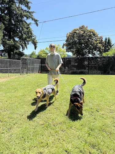 Von Dubinhaus Dog Training Services - Image 1