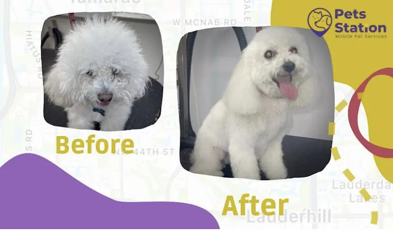 Pets Station Mobile Grooming - Image 1