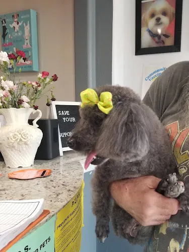 FreeStyle Grooming in Rosenberg, TX