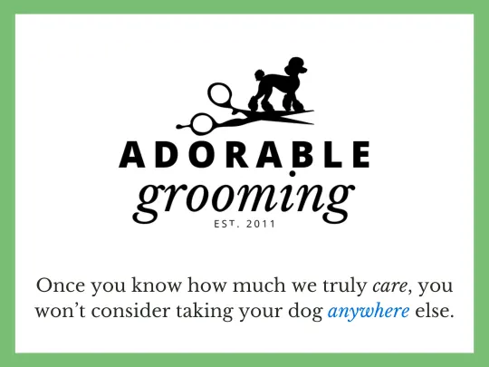 Adorable Pet Grooming - Image 1