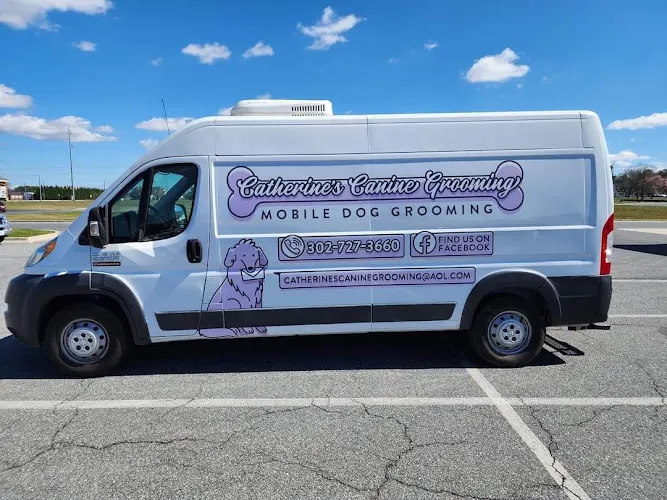 Catherine's Canine Grooming Mobile Dog Grooming - Image 1